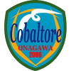 CobaltoreOnagawa