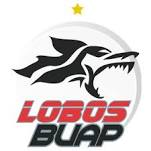 LobosBUAPU20